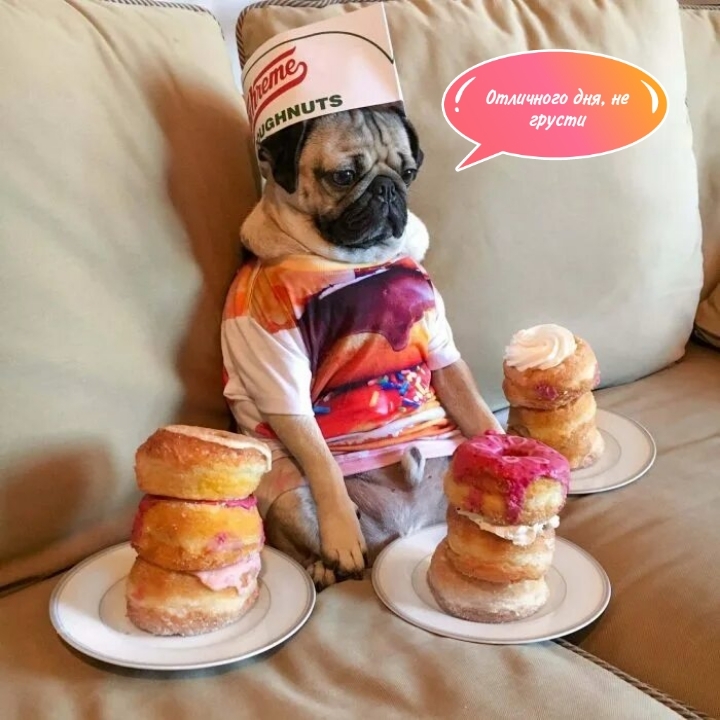 ��������� ���, �� ������ - �������� � ���������