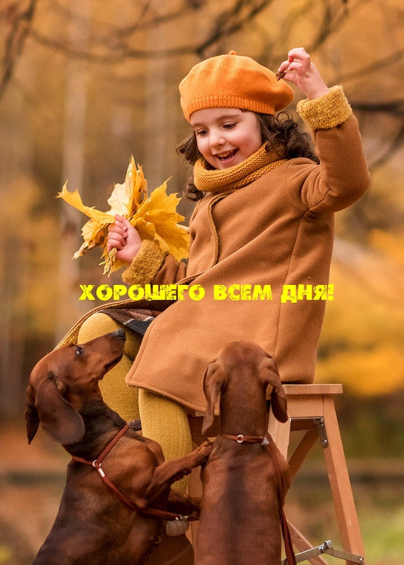 �������� ���� ���! ������� ����������. - �������� � ���������