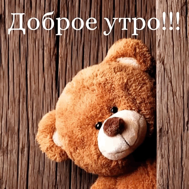 Доброе утро!