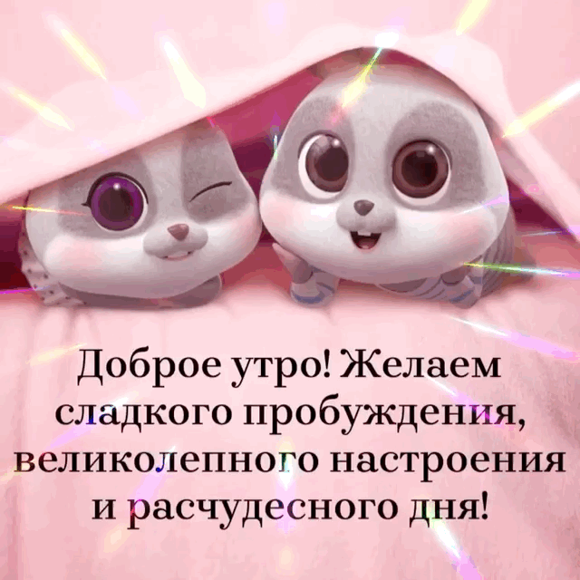 ������ ����! ����� �������� �����������