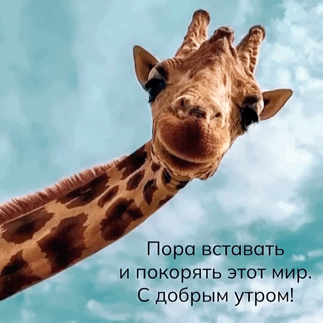 ���� �������� � �������� ���� ���. .