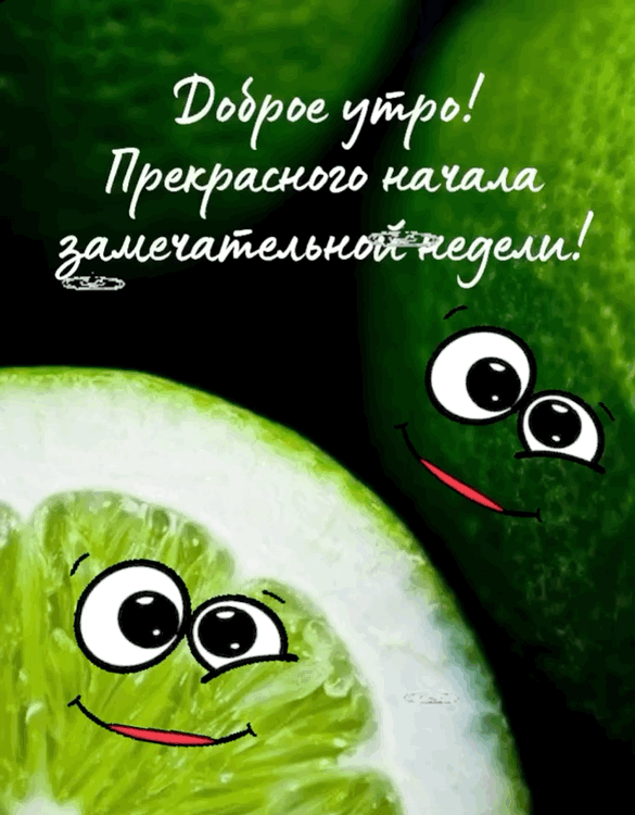 ������ ����! ����������� ������ ������������� ������!.