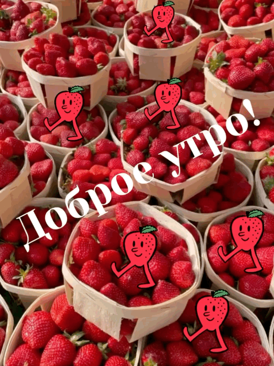 Доброе утро!