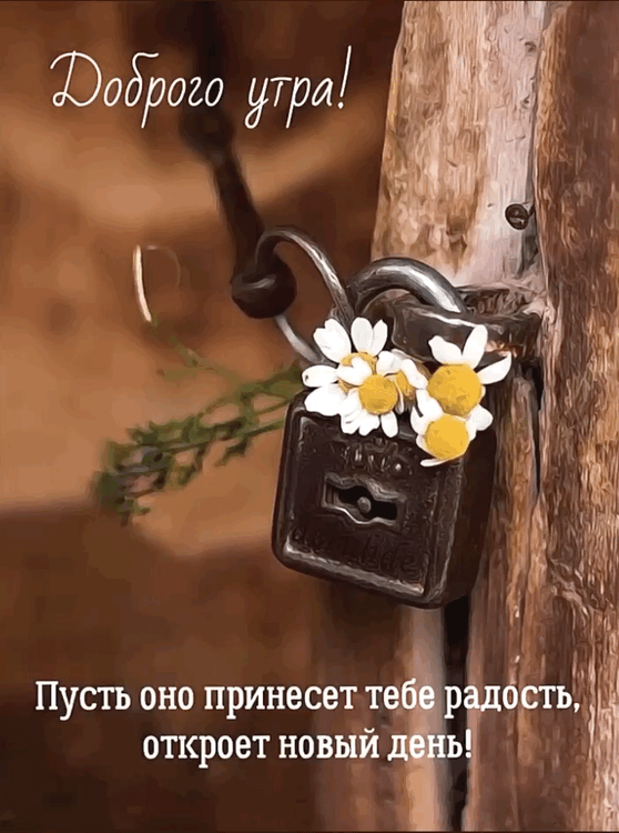 ������ ����! ����� ��� �������� �������.