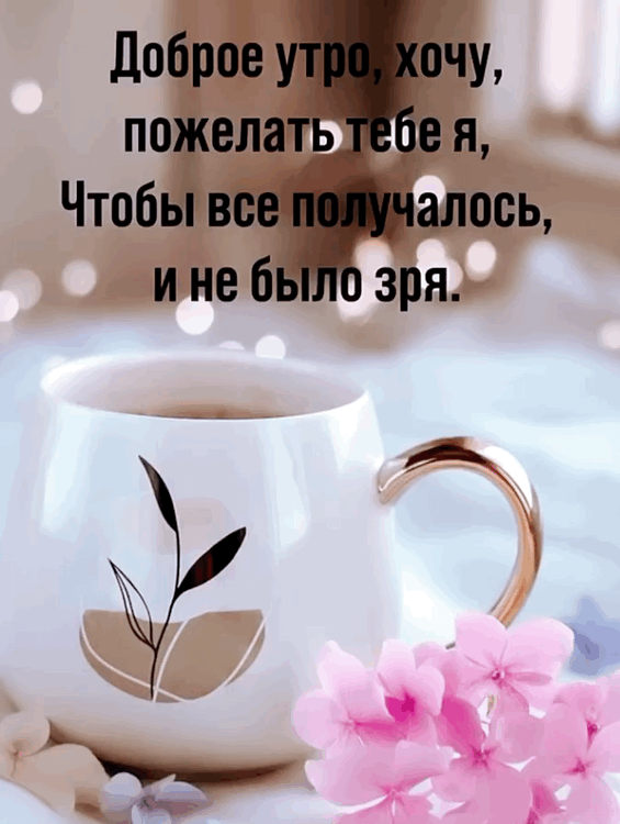 ������ ���� ����� ��� ����������.