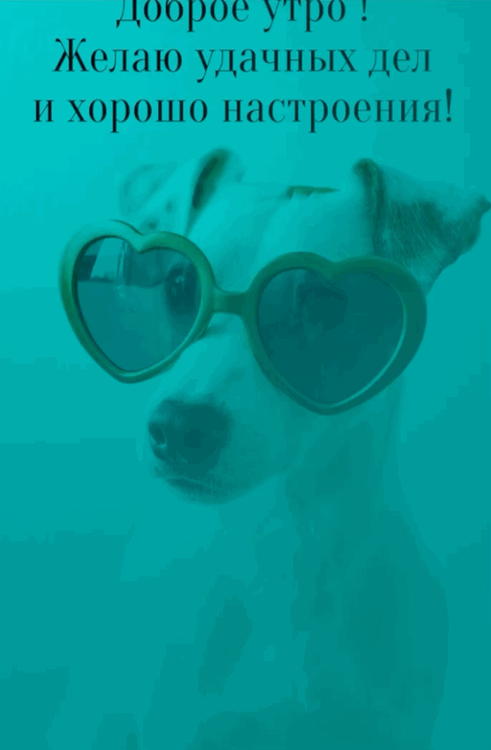 ������ ����! ����� ������� ��� � ������ ����������!.