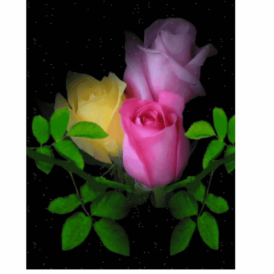 Красивый цветок анимация картинки. Анимационные цветы. Мерцающие розы. Красивые блестящие цветы. Красивые переливающиеся розы.