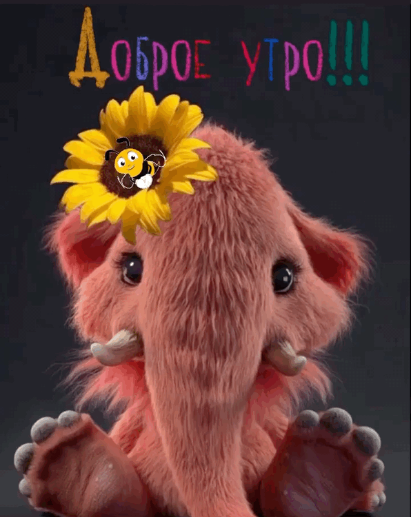 Доброе утро!