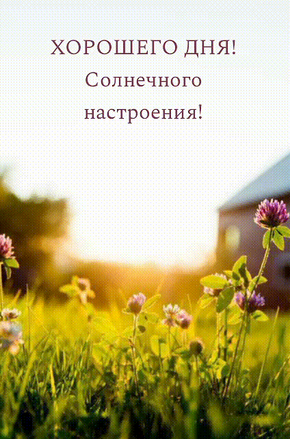 Хорошего дня! Солнечного настроения!