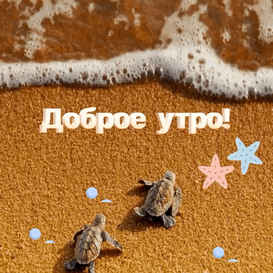 ������ ����!