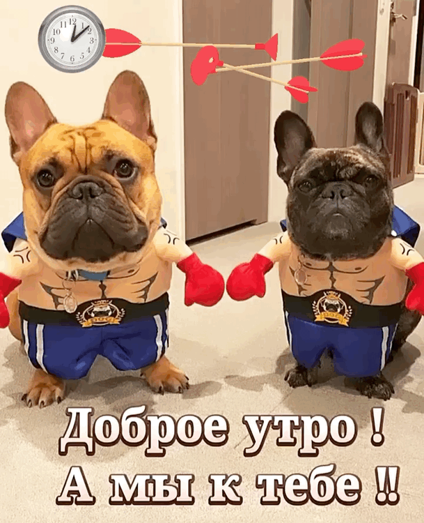 Доброе утро! А мы к тебе!