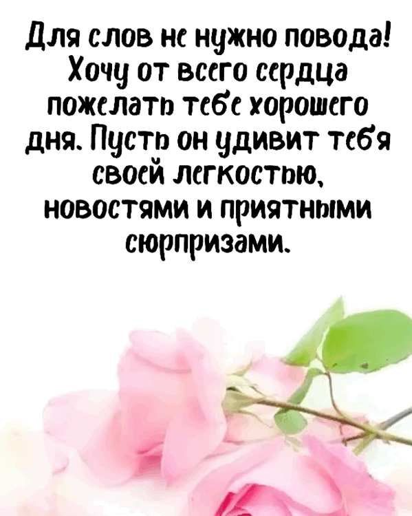 ���� �������� ���� �������� ���.