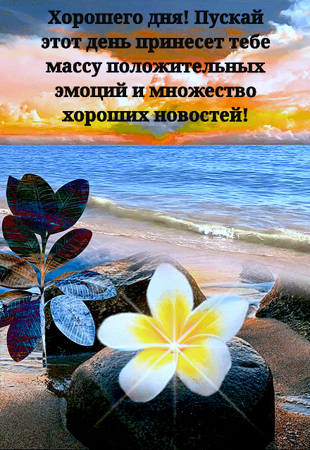 День принесет массу положительных эмоций