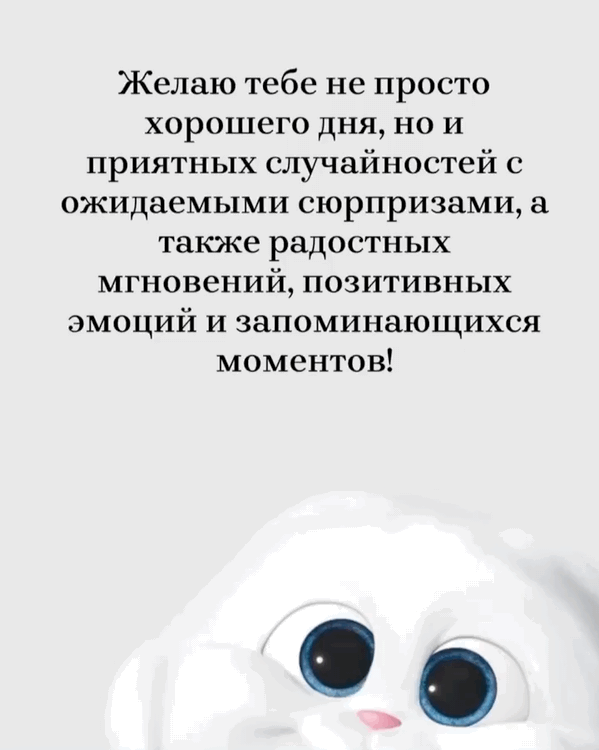 Желаю тебе не просто хорошего дня