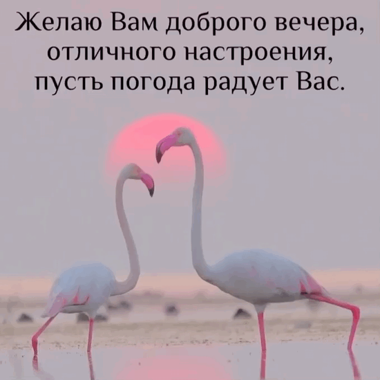  ,  .
