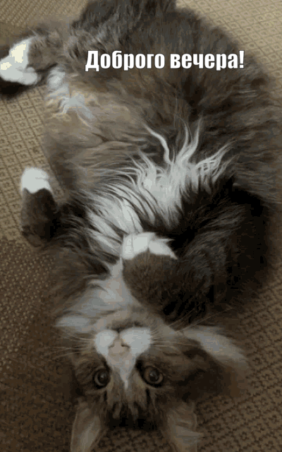 ������� ������!.