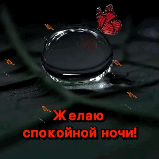 Желаю спокойной ночи!