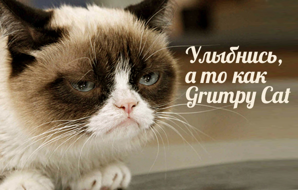 ,    Grumpy Cat