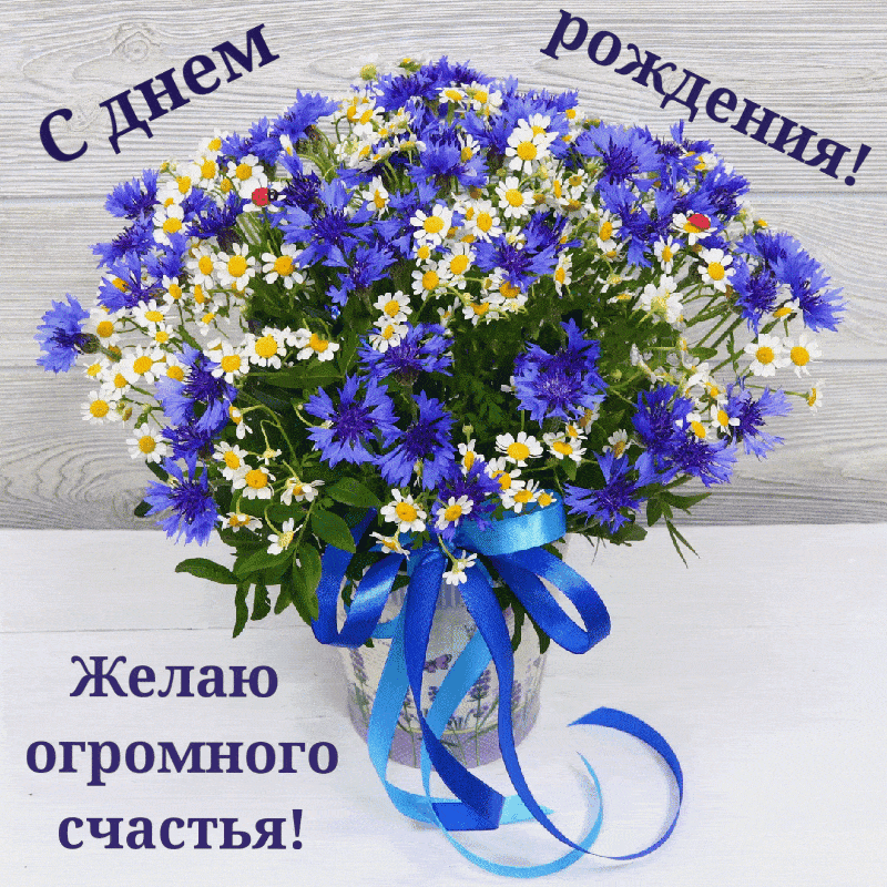 � ���� ��������! ��������� �������!