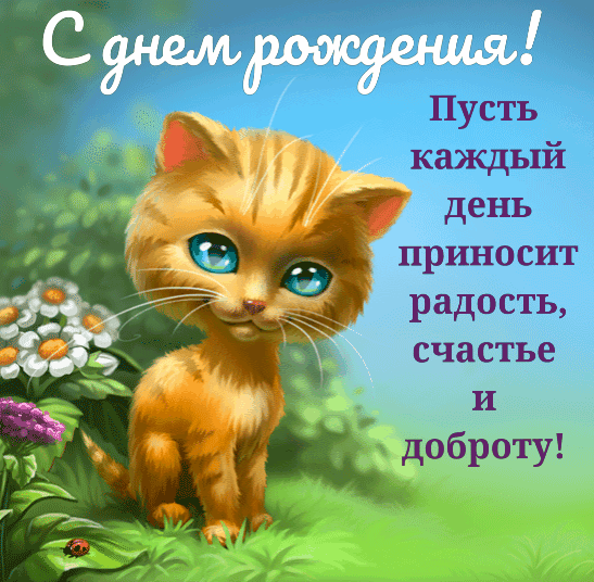 ����� ������ ���� �������� �������.