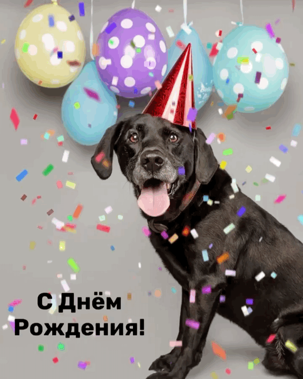   !.