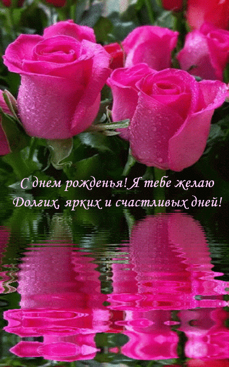 � ���� ��������! � ����� ������, ����� ����!.