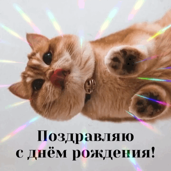 ���������� � ���� ��������!.