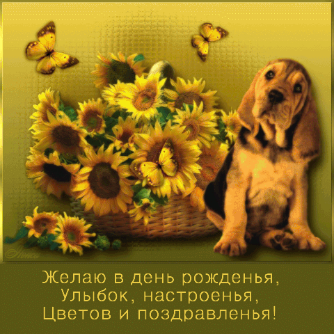 � ���� ��������, ������, ����������.