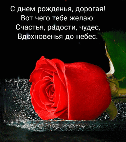 � ���� ��������, �������!