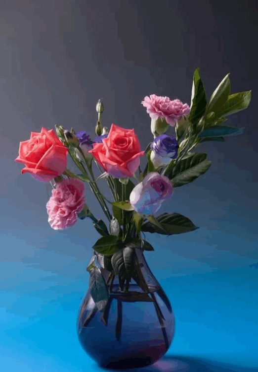 �����, �����������. � ���� ��������!.