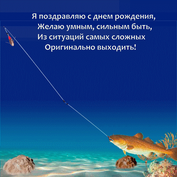 � ���������� � ���� ��������