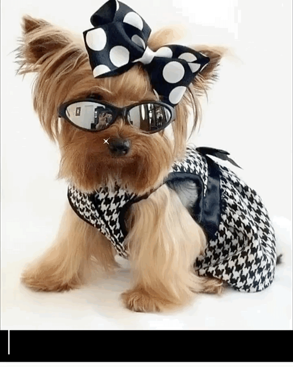 � ���� ��������!