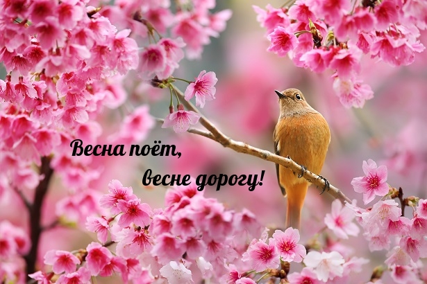 ����� ���, ����� ������!.