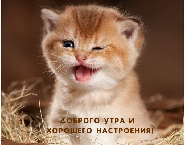 ������� ���� � �������� ����������!.