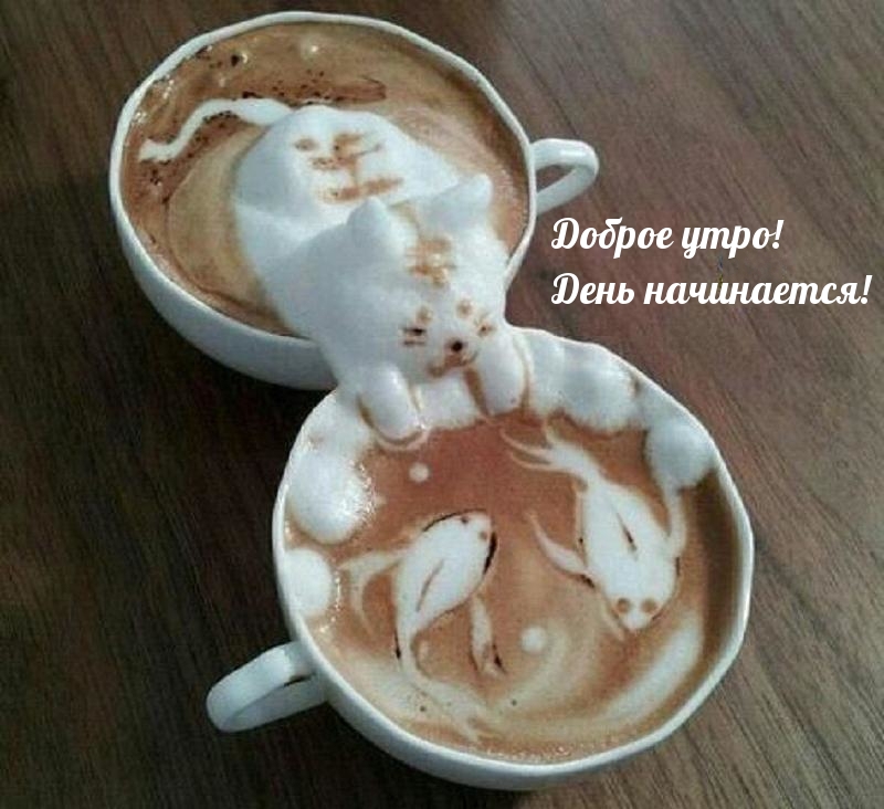 ������ ����! ���� ����������!.