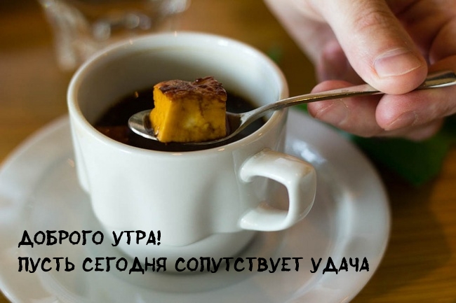 ������� ����! ����� ������� ����������� �����.