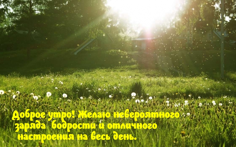 ������ ����! ����� ������������  ������  ��������.