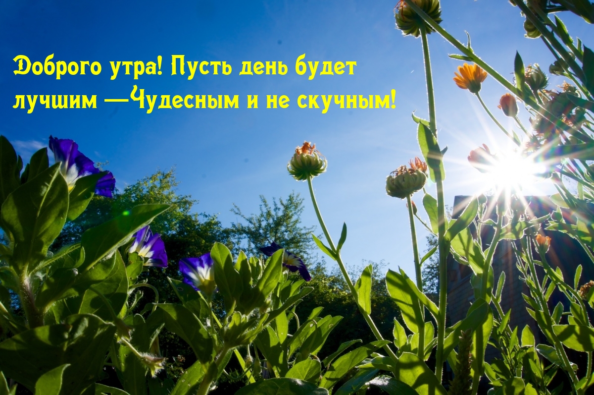 ����� ���� �����  ������ ��������� � �� �������!.