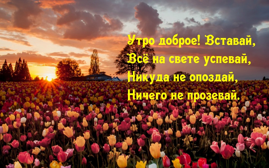 ���� ������! �������, �� �� ����� �������.