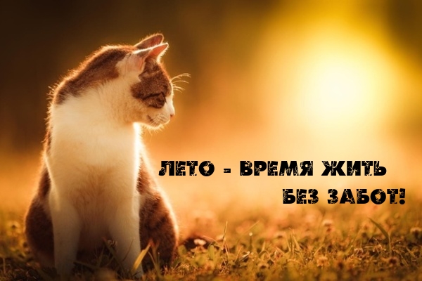 ���� - ����� ���� ��� �����!