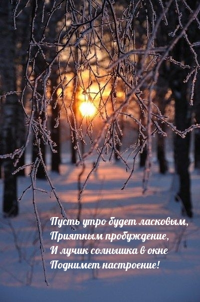 ����� ���� ����� ��������.