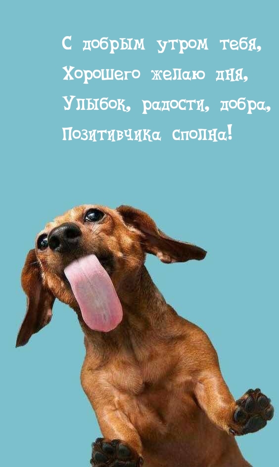 � ������ ����� ����! ������.