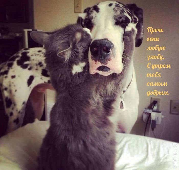 ����� ���� ����� �����, � ����� ����!.