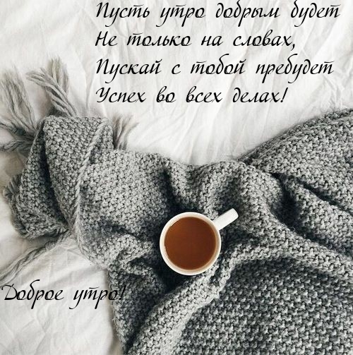 ����� ���� ������ �����.