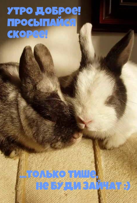 ����������  ������! ������ �� ���� ������).