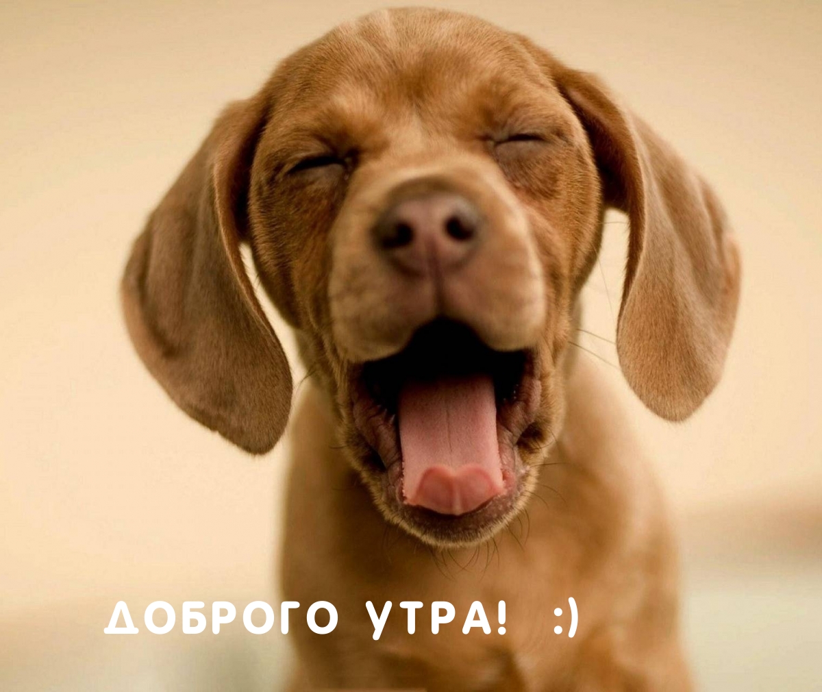 ДОБРОГО УТРА! :)