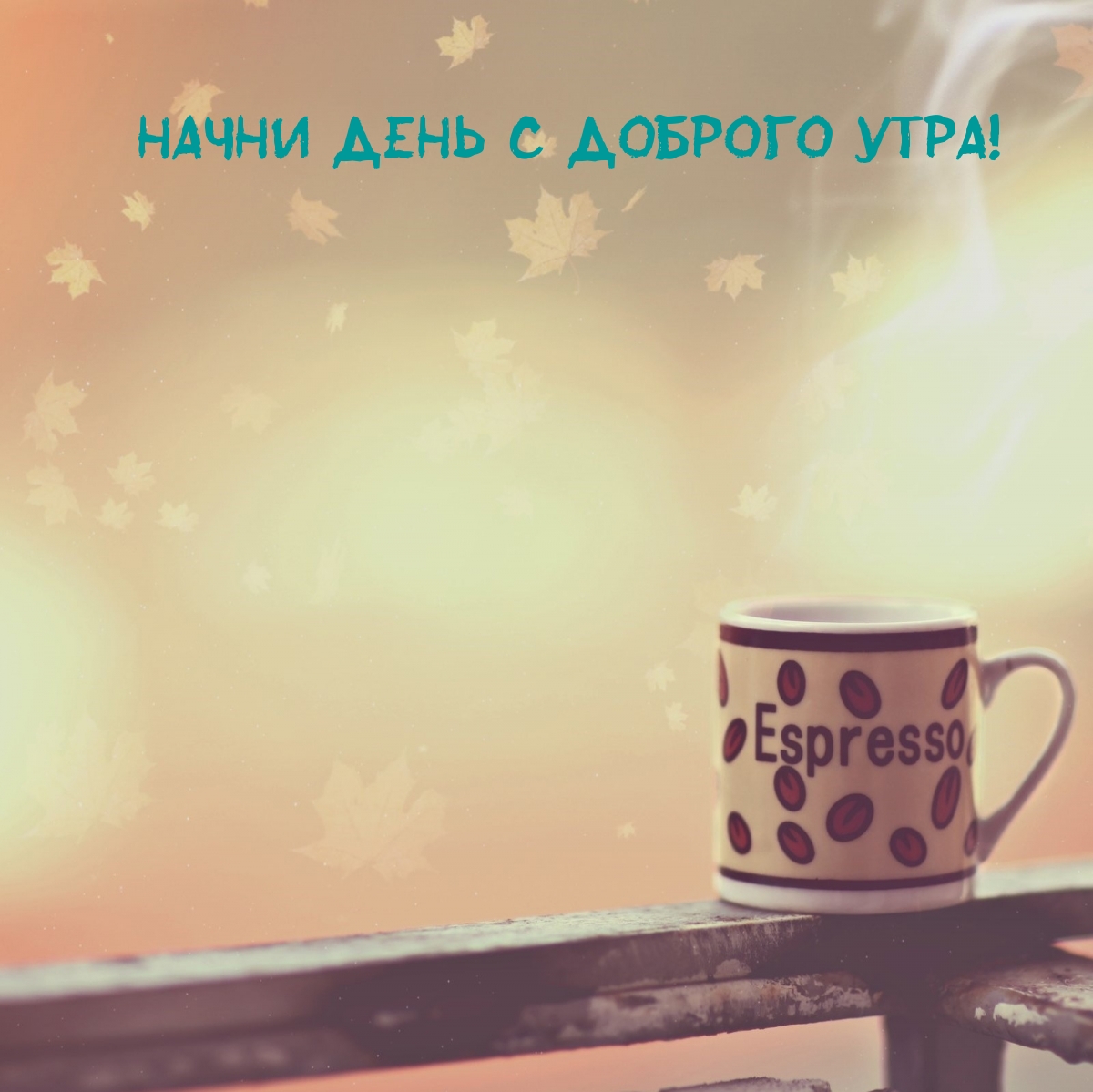 ����� ���� � ������� ����!.