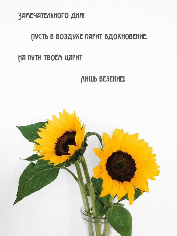 Замечательного дня! Пусть в воздухе парит вдохновение