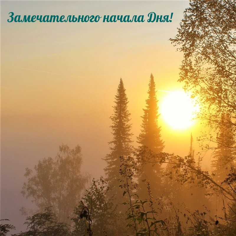 �������������� ������ ���!.