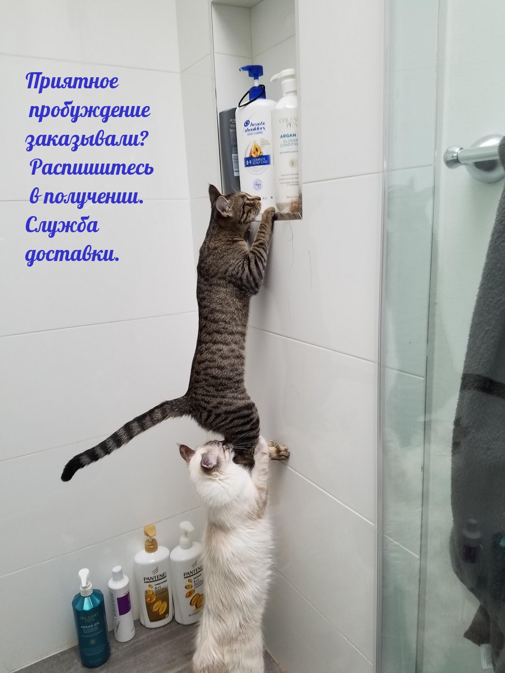 �����������  � ��������� ������� ����.